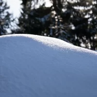 <br />
<b>Notice</b>:  Undefined variable: title_field in <b>/var/www/s246446/data/www/tests.tutaev.city/templates/portal/controllers/content/widgets/list/list_problems.tpl.php</b> on line <b>20</b><br />
<br />
<b>Notice</b>:  Undefined index:  in <b>/var/www/s246446/data/www/tests.tutaev.city/templates/portal/controllers/content/widgets/list/list_problems.tpl.php</b> on line <b>20</b><br />
