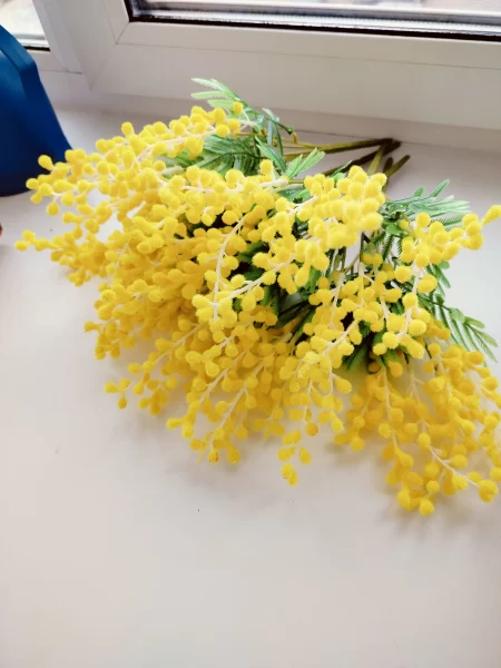 Мимоза искусственная