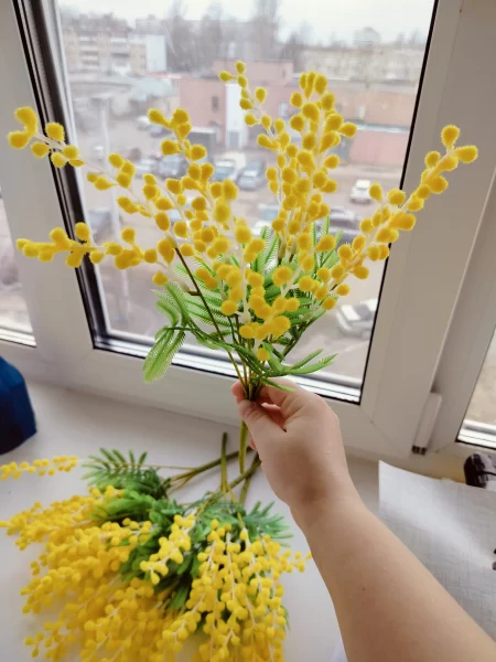 Мимоза искусственная